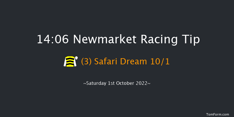 Newmarket 14:06 Stakes (Class 2) 6f Sat 24th Sep 2022