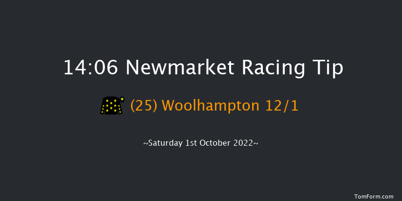 Newmarket 14:06 Stakes (Class 2) 6f Sat 24th Sep 2022