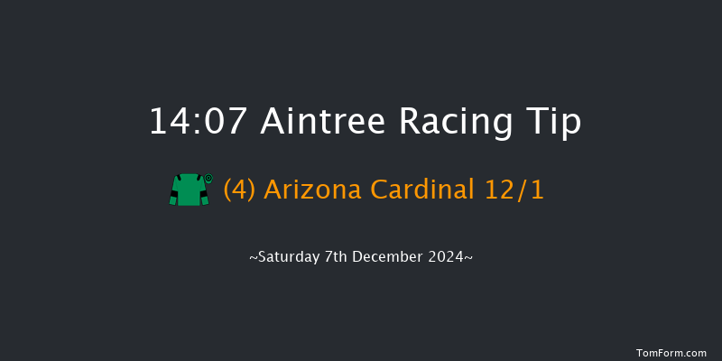 Aintree  14:07 Handicap Chase (Class 1) 26f Sat 9th Nov 2024