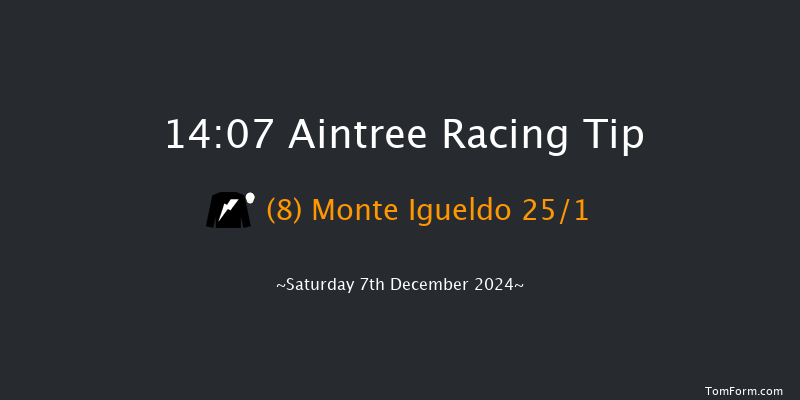 Aintree  14:07 Handicap Chase (Class 1) 26f Sat 9th Nov 2024