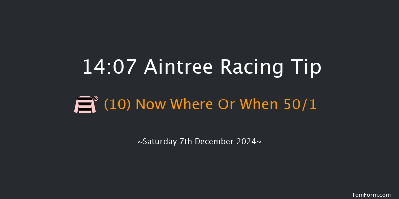 Aintree  14:07 Handicap Chase (Class 1) 26f Sat 9th Nov 2024