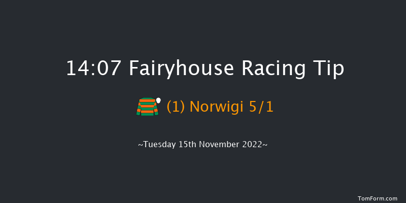 Fairyhouse 14:07 Handicap Chase 24f Tue 8th Nov 2022