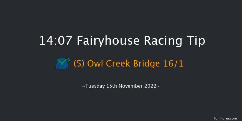 Fairyhouse 14:07 Handicap Chase 24f Tue 8th Nov 2022