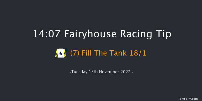 Fairyhouse 14:07 Handicap Chase 24f Tue 8th Nov 2022