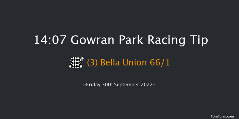 Gowran Park 14:07 Maiden Hurdle 16f Sat 17th Sep 2022