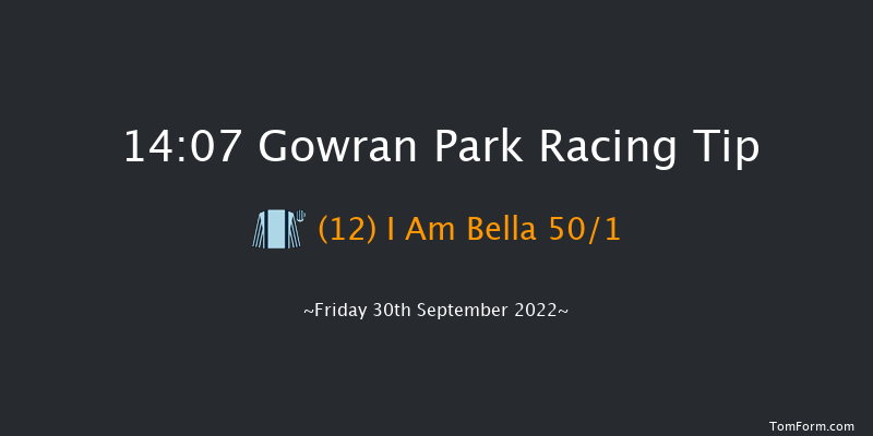 Gowran Park 14:07 Maiden Hurdle 16f Sat 17th Sep 2022