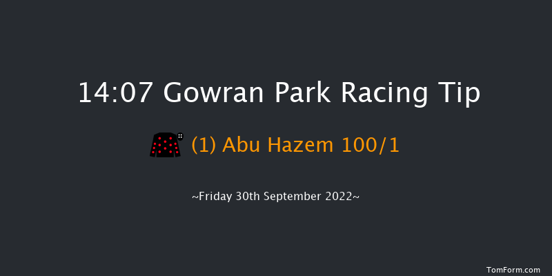 Gowran Park 14:07 Maiden Hurdle 16f Sat 17th Sep 2022