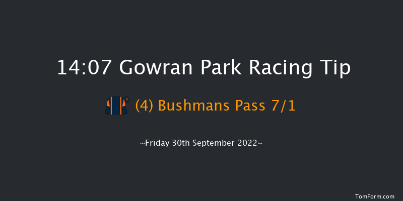 Gowran Park 14:07 Maiden Hurdle 16f Sat 17th Sep 2022