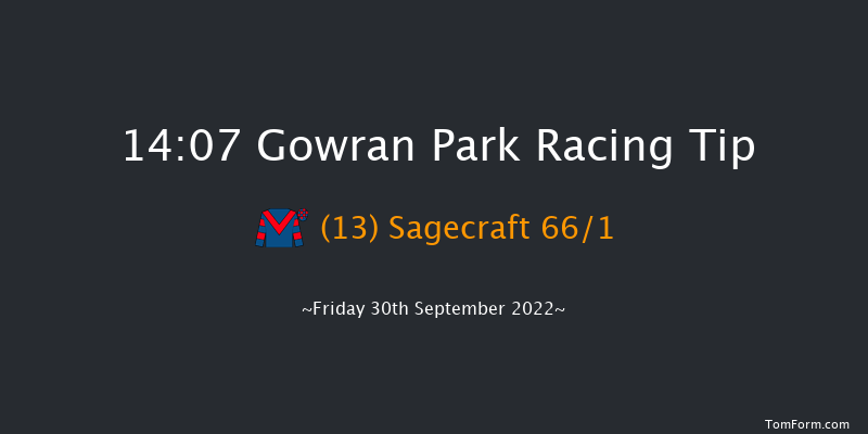 Gowran Park 14:07 Maiden Hurdle 16f Sat 17th Sep 2022