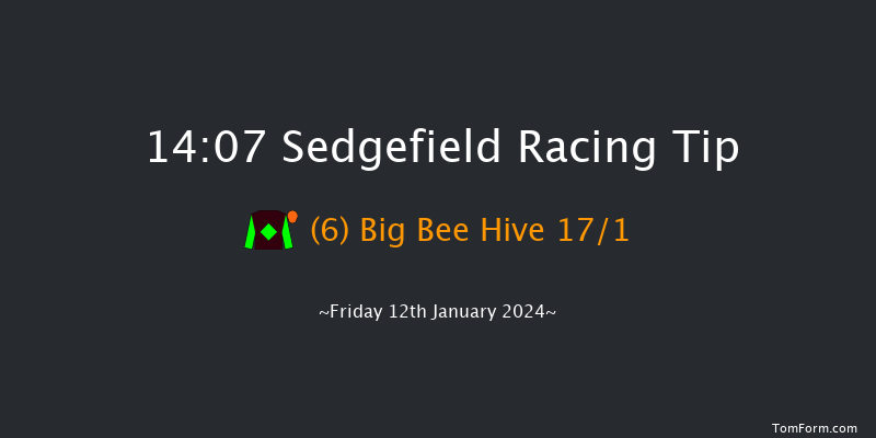 Sedgefield 14:07 Handicap Hurdle (Class 5) 20f Tue 26th Dec 2023