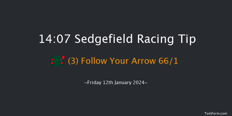 Sedgefield 14:07 Handicap Hurdle (Class 5) 20f Tue 26th Dec 2023