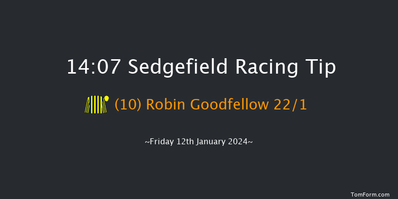 Sedgefield 14:07 Handicap Hurdle (Class 5) 20f Tue 26th Dec 2023