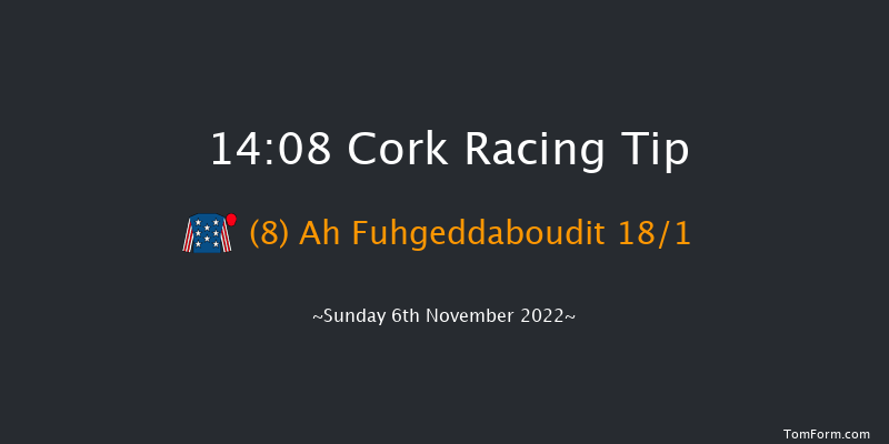 Cork 14:08 Maiden Hurdle 24f Sun 16th Oct 2022