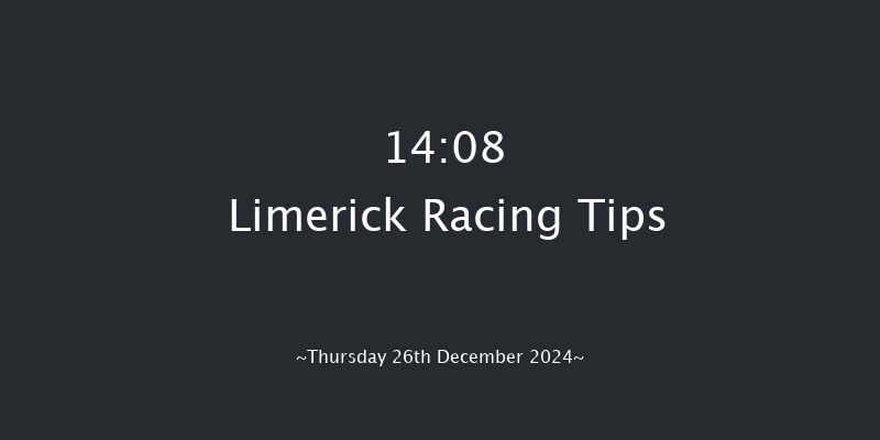 Limerick  14:08 Handicap Hurdle 20f Tue 19th Nov 2024