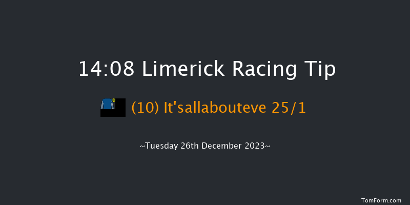 Limerick 14:08 Handicap Hurdle 20f Tue 21st Nov 2023