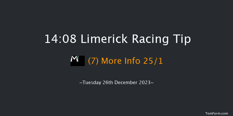 Limerick 14:08 Handicap Hurdle 20f Tue 21st Nov 2023