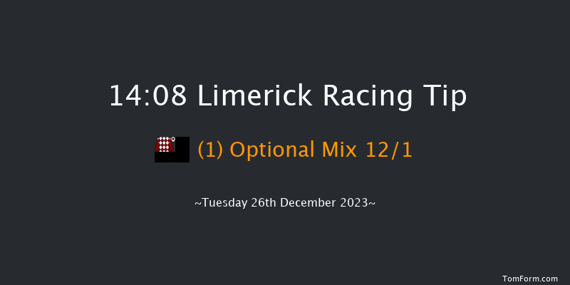 Limerick 14:08 Handicap Hurdle 20f Tue 21st Nov 2023