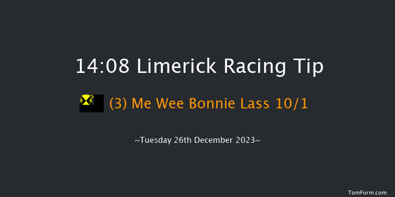 Limerick 14:08 Handicap Hurdle 20f Tue 21st Nov 2023