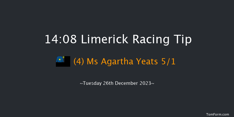 Limerick 14:08 Handicap Hurdle 20f Tue 21st Nov 2023