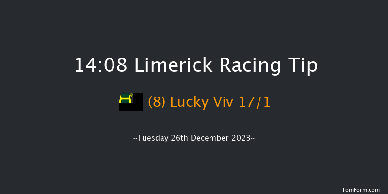 Limerick 14:08 Handicap Hurdle 20f Tue 21st Nov 2023