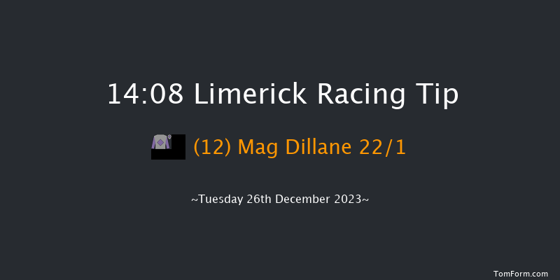 Limerick 14:08 Handicap Hurdle 20f Tue 21st Nov 2023