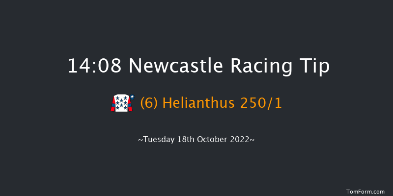 Newcastle 14:08 Stakes (Class 4) 7f Fri 14th Oct 2022