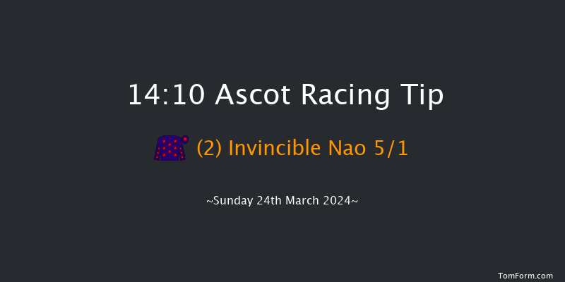 Ascot  14:10 Handicap Chase (Class 4) 21f Sat 17th Feb 2024