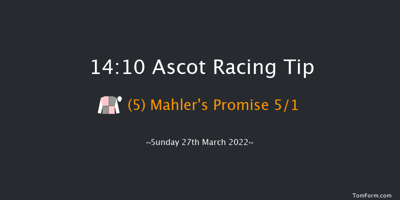 Ascot 14:10 Handicap Chase (Class 2) 17f Sat 19th Feb 2022