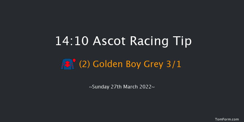 Ascot 14:10 Handicap Chase (Class 2) 17f Sat 19th Feb 2022