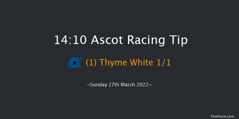 Ascot 14:10 Handicap Chase (Class 2) 17f Sat 19th Feb 2022