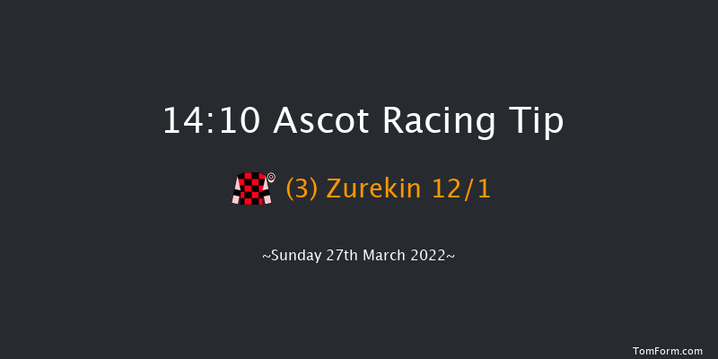 Ascot 14:10 Handicap Chase (Class 2) 17f Sat 19th Feb 2022