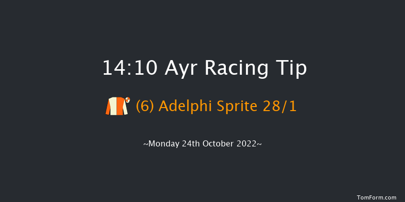 Ayr 14:10 Handicap Hurdle (Class 5) 20f Thu 6th Oct 2022