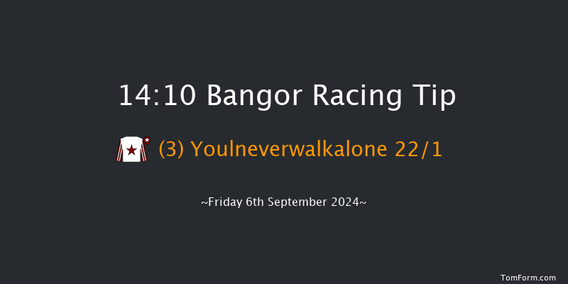 Bangor-on-dee  14:10 Handicap Hurdle (Class 5) 20f Fri 28th Jun 2024