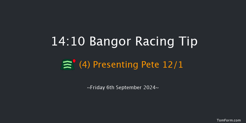 Bangor-on-dee  14:10 Handicap Hurdle (Class 5) 20f Fri 28th Jun 2024