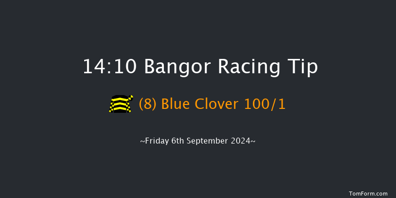 Bangor-on-dee  14:10 Handicap Hurdle (Class 5) 20f Fri 28th Jun 2024