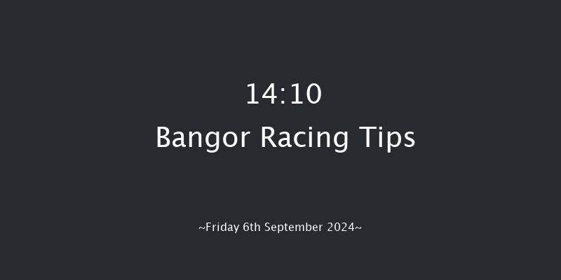 Bangor-on-dee  14:10 Handicap Hurdle (Class 5) 20f Fri 28th Jun 2024