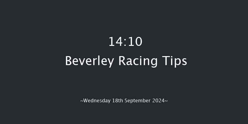 Beverley  14:10 Maiden (Class 5) 5f Sat 31st Aug 2024