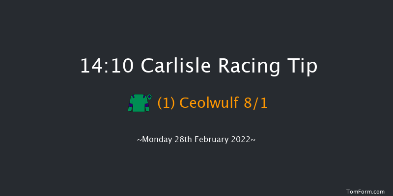 Carlisle 14:10 Novices Hurdle (Class 4) 17f Mon 21st Feb 2022