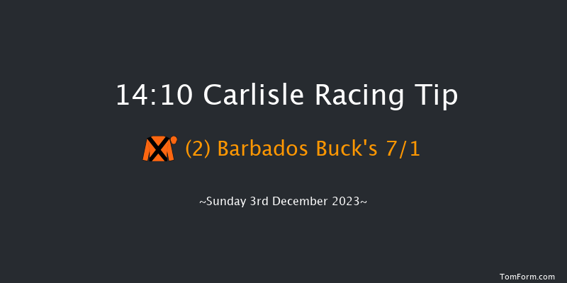 Carlisle 14:10 Handicap Hurdle (Class 3) 25f Mon 13th Nov 2023