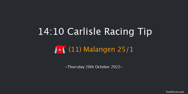 Carlisle 14:10 Handicap Hurdle (Class 3) 17f Thu 13th Oct 2022