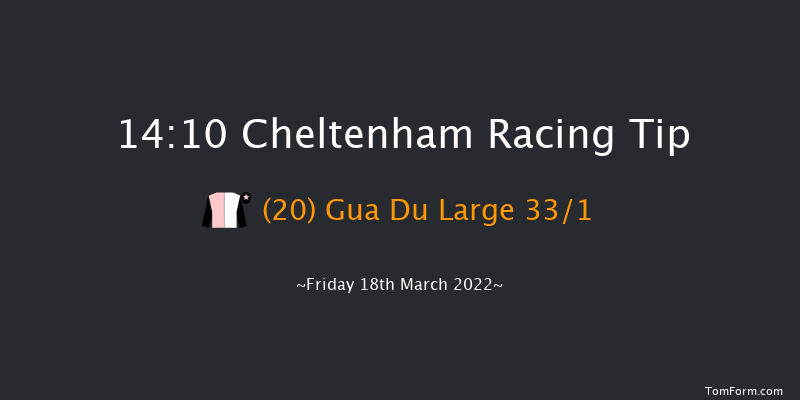 Cheltenham 14:10 Handicap Hurdle (Class 1) 17f Thu 17th Mar 2022