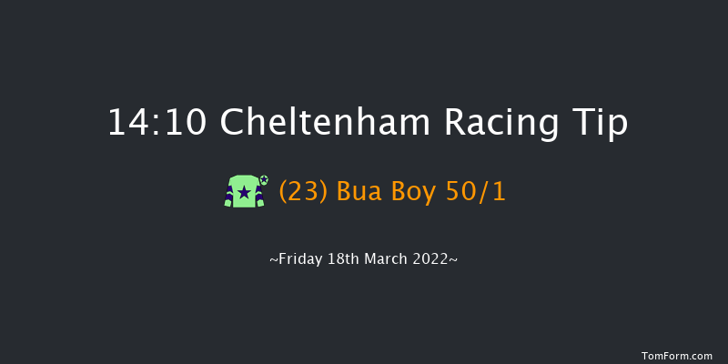 Cheltenham 14:10 Handicap Hurdle (Class 1) 17f Thu 17th Mar 2022