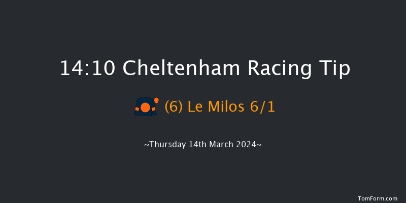 Cheltenham  14:10 Handicap Hurdle (Class 1)
24f Wed 13th Mar 2024