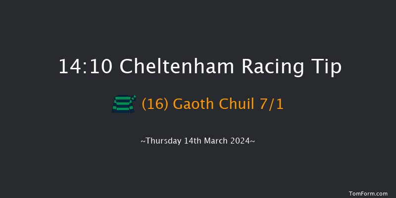 Cheltenham  14:10 Handicap Hurdle (Class 1)
24f Wed 13th Mar 2024