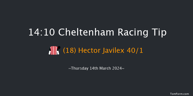 Cheltenham  14:10 Handicap Hurdle (Class 1)
24f Wed 13th Mar 2024