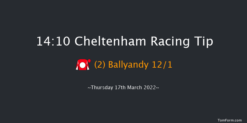 Cheltenham 14:10 Handicap Hurdle (Class 1) 24f Wed 16th Mar 2022