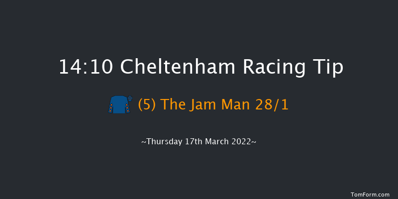 Cheltenham 14:10 Handicap Hurdle (Class 1) 24f Wed 16th Mar 2022