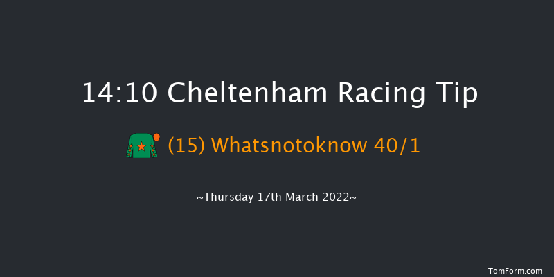 Cheltenham 14:10 Handicap Hurdle (Class 1) 24f Wed 16th Mar 2022