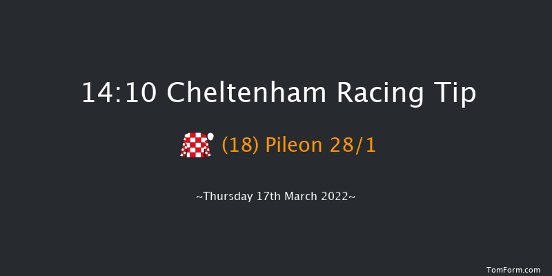 Cheltenham 14:10 Handicap Hurdle (Class 1) 24f Wed 16th Mar 2022