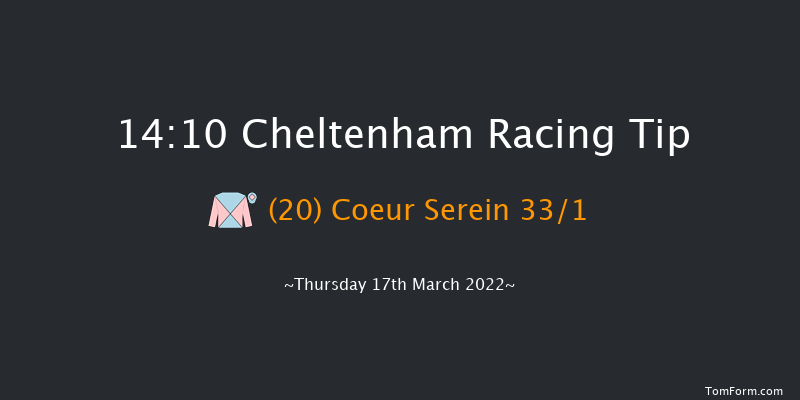 Cheltenham 14:10 Handicap Hurdle (Class 1) 24f Wed 16th Mar 2022